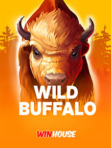 Wild Buffalo