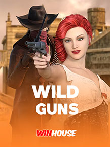 Wild Guns